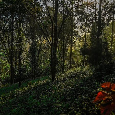 Southern Panorama Indriya Resorts&Spa Munnar Bagian luar foto