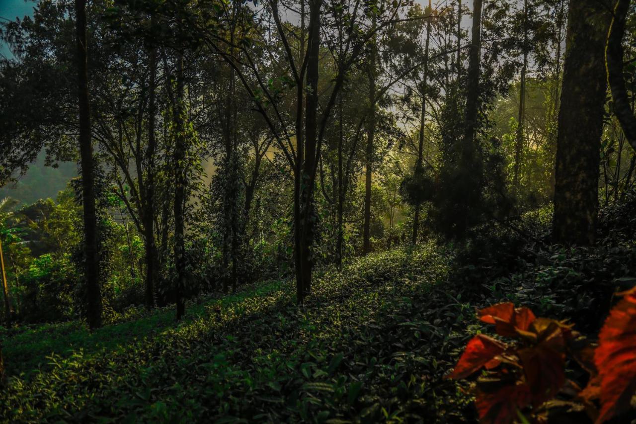 Southern Panorama Indriya Resorts&Spa Munnar Bagian luar foto