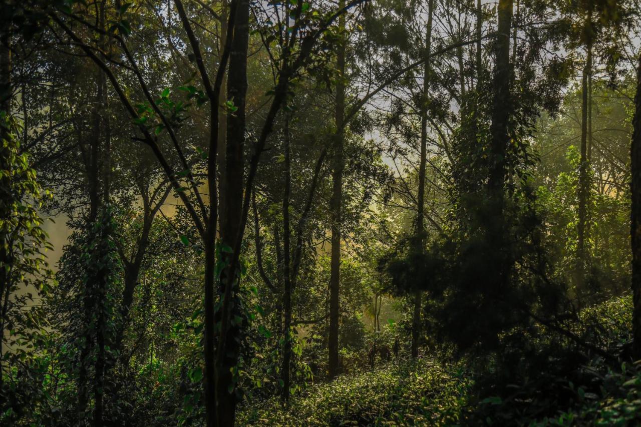 Southern Panorama Indriya Resorts&Spa Munnar Bagian luar foto