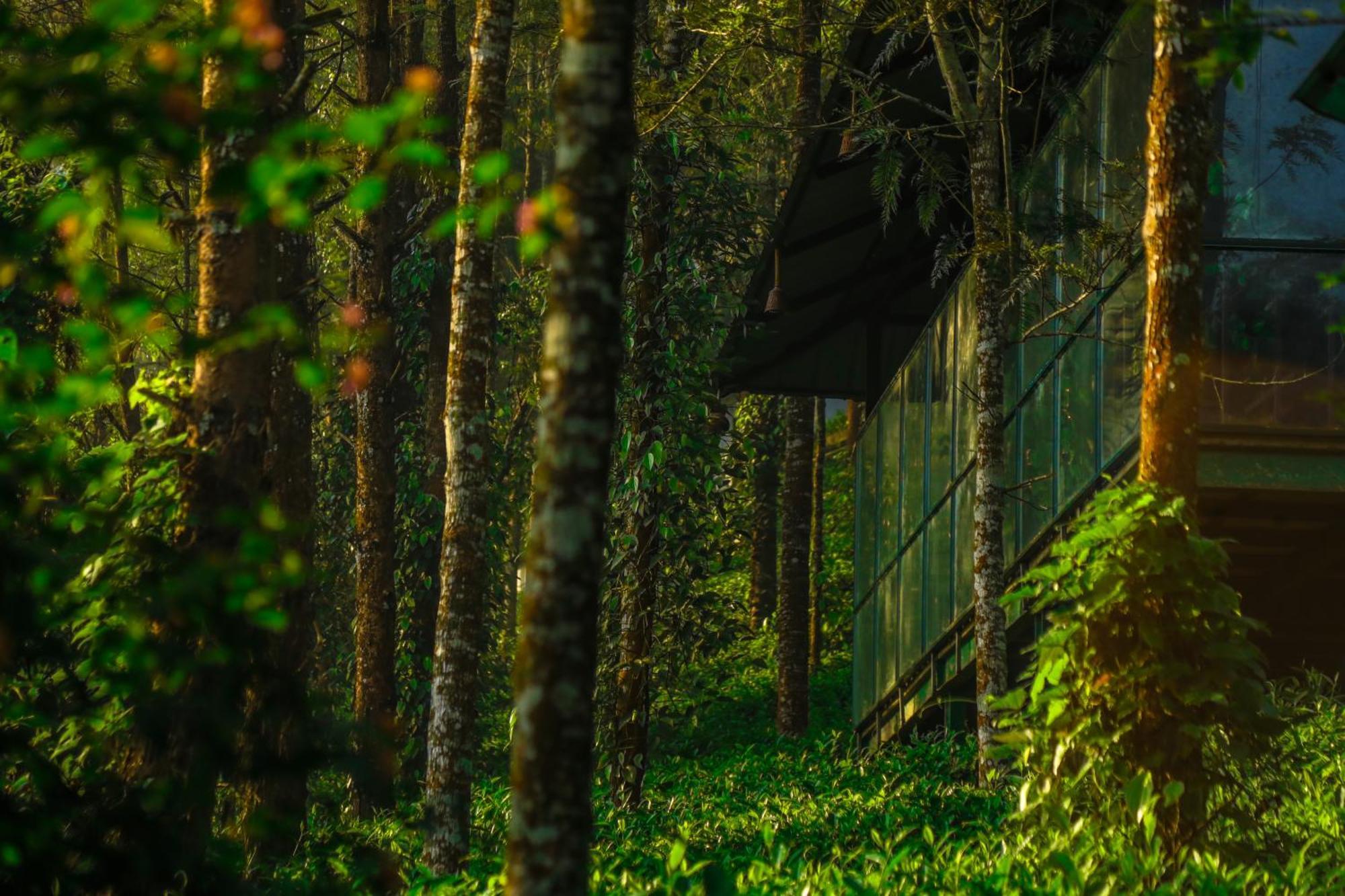 Southern Panorama Indriya Resorts&Spa Munnar Bagian luar foto